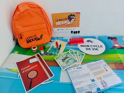 Rallye Mouskit : Webinaire de présentation de l'outil pédagogique de sensibilisation des enfants à la lutte contre le moustique tigre