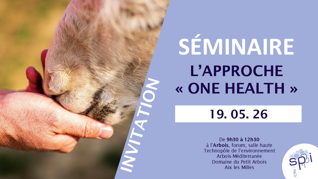 Séminaire sur l'approche "One Health"
